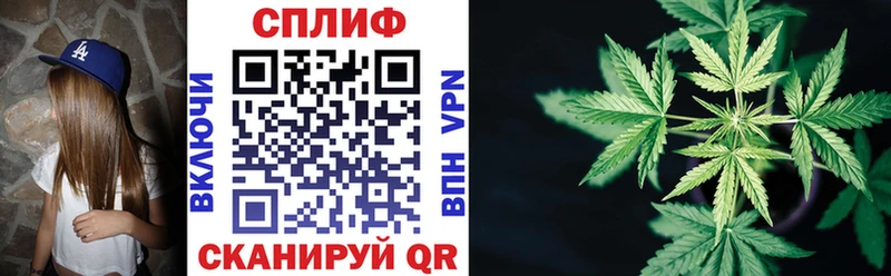 Конопля гибрид  как найти закладки  Минусинск 